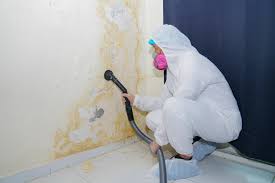 Best Mold Prevention Services  in Bellevue, WI